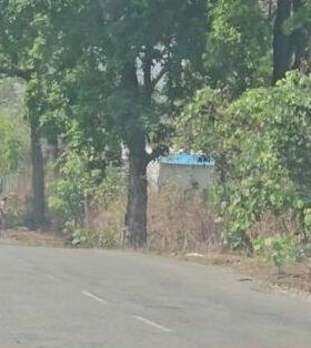 Image Editor Output Image 167499313 17538868539348287710016455426959