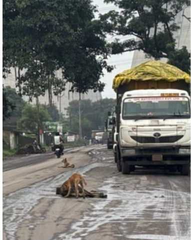 Image Editor Output Image 61198861 17538875101327497590118444025943