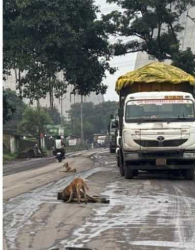 Image Editor Output Image 61198861 17538875543388881326472104612264