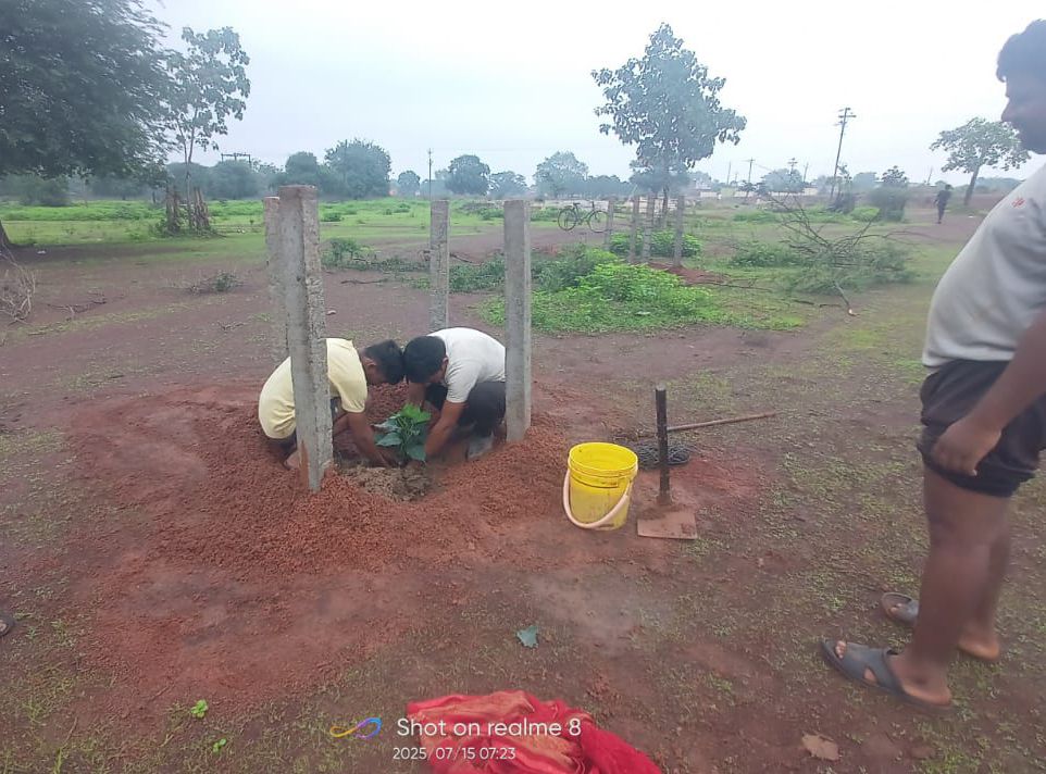 पर्यावरण संरक्षण के मिसाल बने ग्राम बिलाडी के रवि पाल ,अपने खर्च पर करते हैं पौधारोपण Image Editor Output Image1588481919 17525820209022698631221673865218