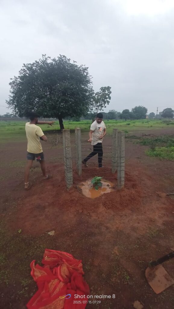 पर्यावरण संरक्षण के मिसाल बने ग्राम बिलाडी के रवि पाल ,अपने खर्च पर करते हैं पौधारोपण Img 20250715 Wa00215889217161805954903 577x1024