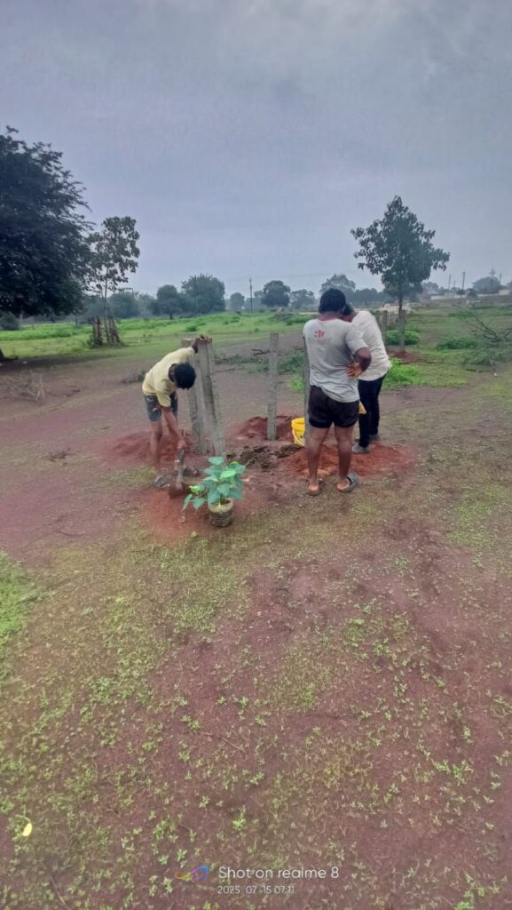 पर्यावरण संरक्षण के मिसाल बने ग्राम बिलाडी के रवि पाल ,अपने खर्च पर करते हैं पौधारोपण Img 20250715 Wa0026298620383300280422 577x1024