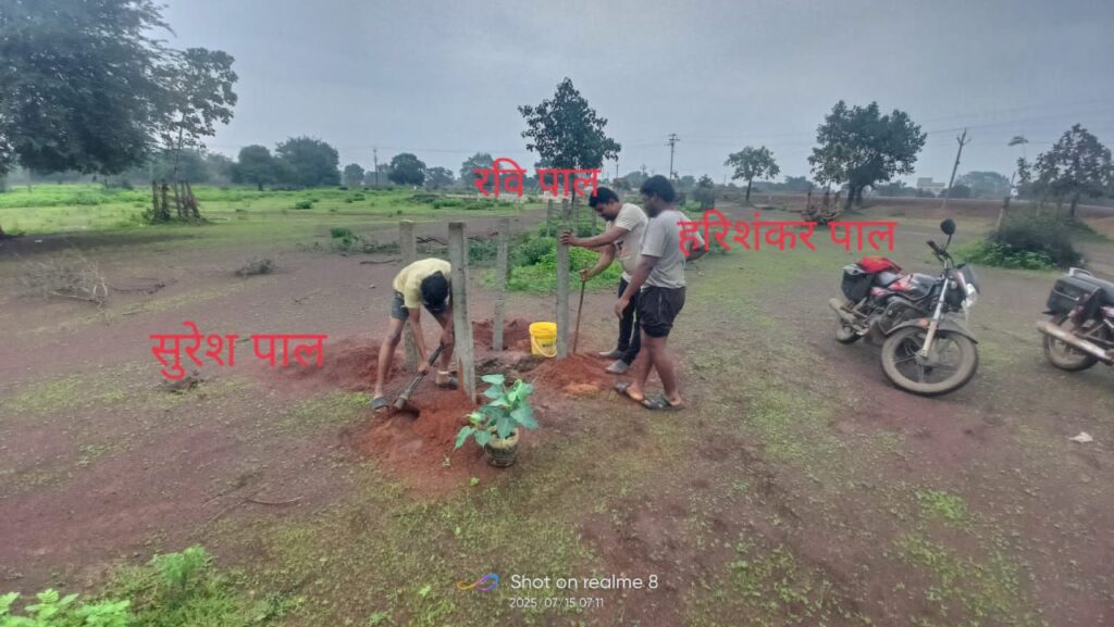 पर्यावरण संरक्षण के मिसाल बने ग्राम बिलाडी के रवि पाल ,अपने खर्च पर करते हैं पौधारोपण Img 20250715 Wa00301549110885003782715 1024x577