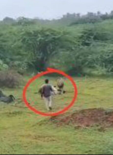 Image Editor Output Image 1855548396 1754412251206268208374444475669