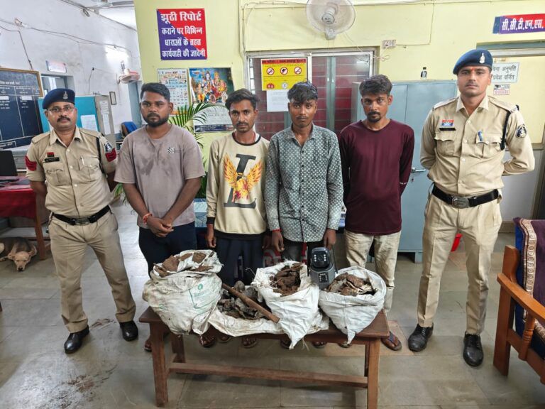 Img 20250813 Wa0275 768x5768122779827081210331 1