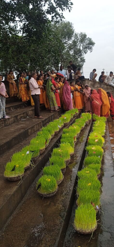 बिलाड़ी गांव मे तिजा पोला पर्व के अवसर पर भोजली विषर्जन किया गया Img 20250823 1638204625100849020050400 473x1024