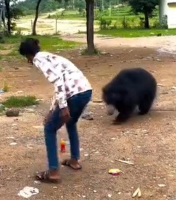 Image Editor Output Image 1223106230 17579337917722677255741534634198