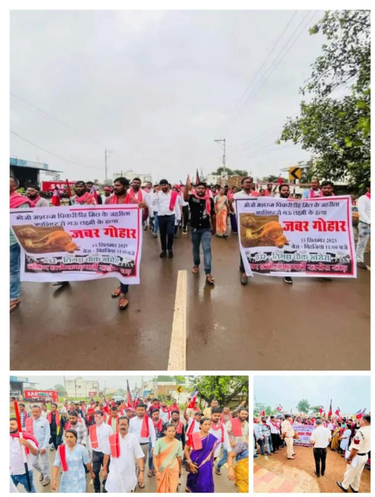 Image Editor Output Image794181883 17580369028784636233011000193748 774x1024