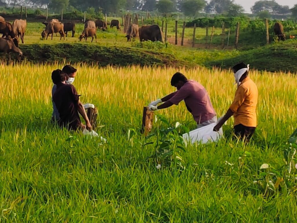 तिल्दा-नेवरा: 12 दिन से लापता किशोर का शव संदिग्ध हालत में मिला, हत्या की आशंका से गांव में फैली सनसनी Img 20250906 Wa00932923415397293983626 1024x768
