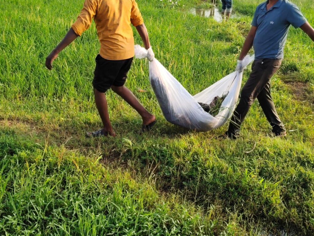तिल्दा-नेवरा: 12 दिन से लापता किशोर का शव संदिग्ध हालत में मिला, हत्या की आशंका से गांव में फैली सनसनी Img 20250906 Wa00942019432626079624548 1024x768