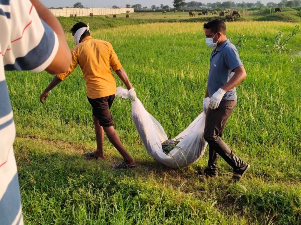 तिल्दा-नेवरा: 12 दिन से लापता किशोर का शव संदिग्ध हालत में मिला, हत्या की आशंका से गांव में फैली सनसनी Img 20250906 Wa00989045078011352357665 1024x768