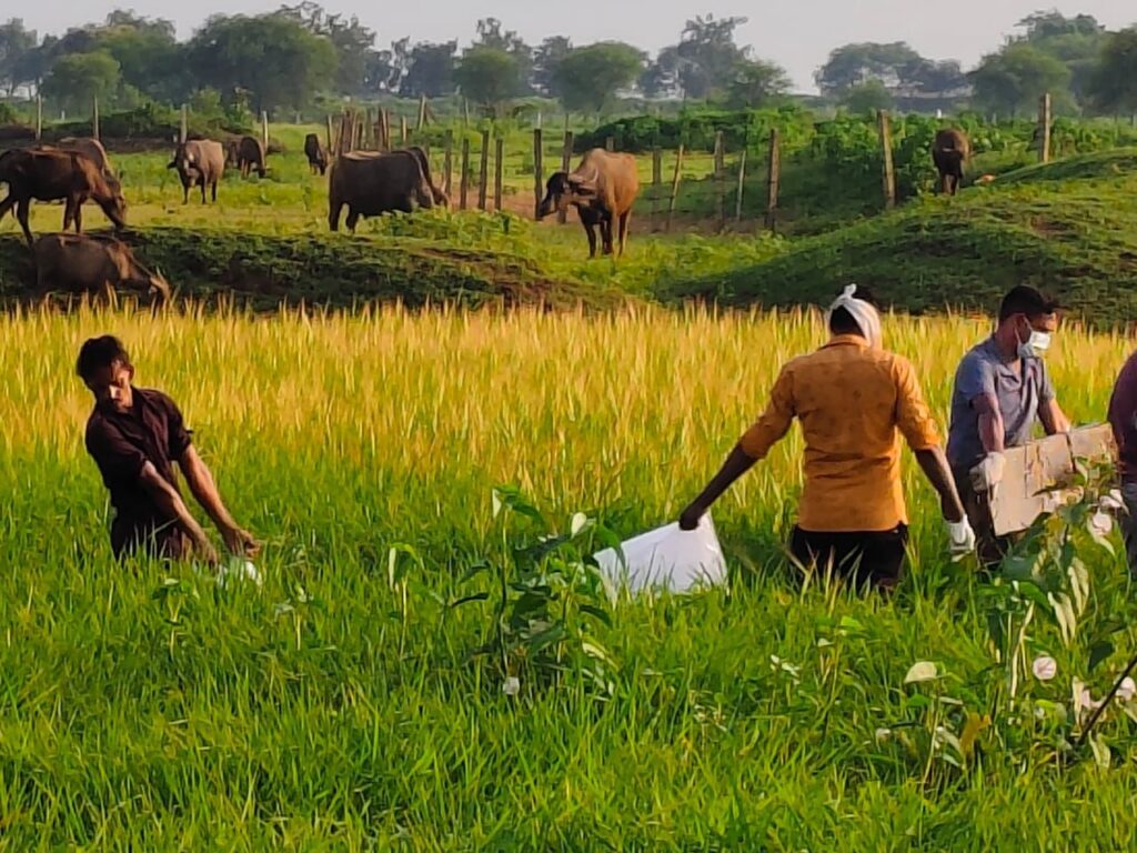 तिल्दा-नेवरा: 12 दिन से लापता किशोर का शव संदिग्ध हालत में मिला, हत्या की आशंका से गांव में फैली सनसनी Img 20250906 Wa00998672651787628526839 1024x768