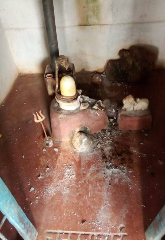 Image Editor Output Image 236144675 17605859334449183652034715313296