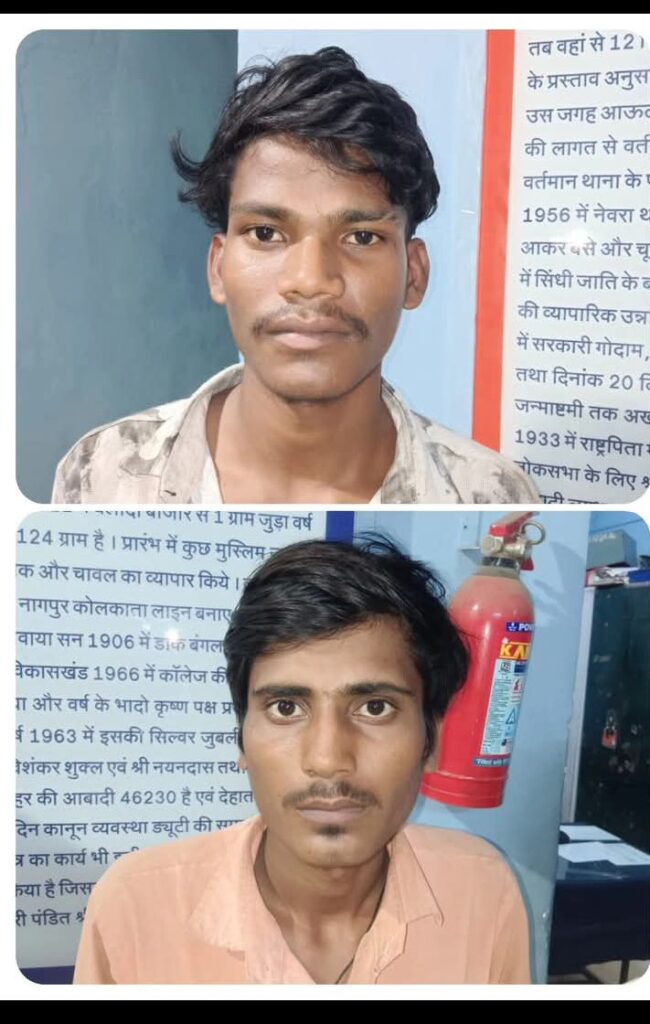 Img 20251010 Wa00024232848454283725449 650x1024