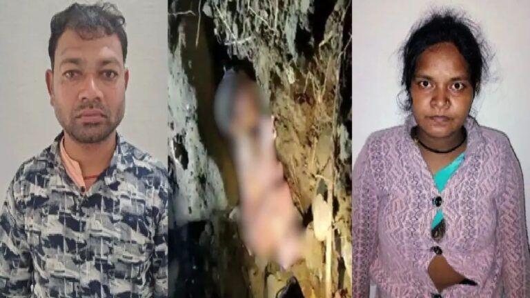 N6834681941759454600056ae7ecf24a3ec5fd2c374086cf8049cdafc3a0ea5f287826f3b67f455fc340bdc 768x4323011514570533634938 1