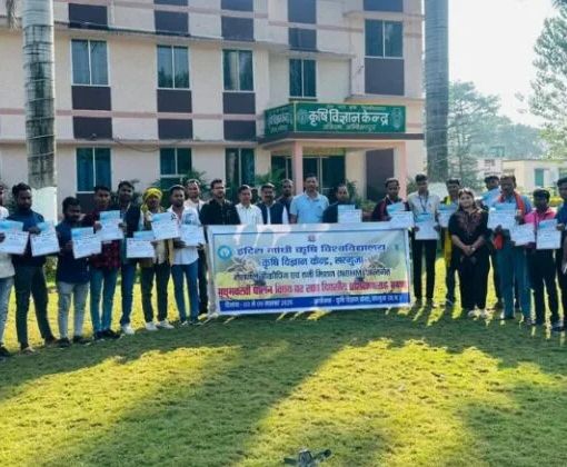 Image Editor Output Image104302367 17627036809645147325762039812543