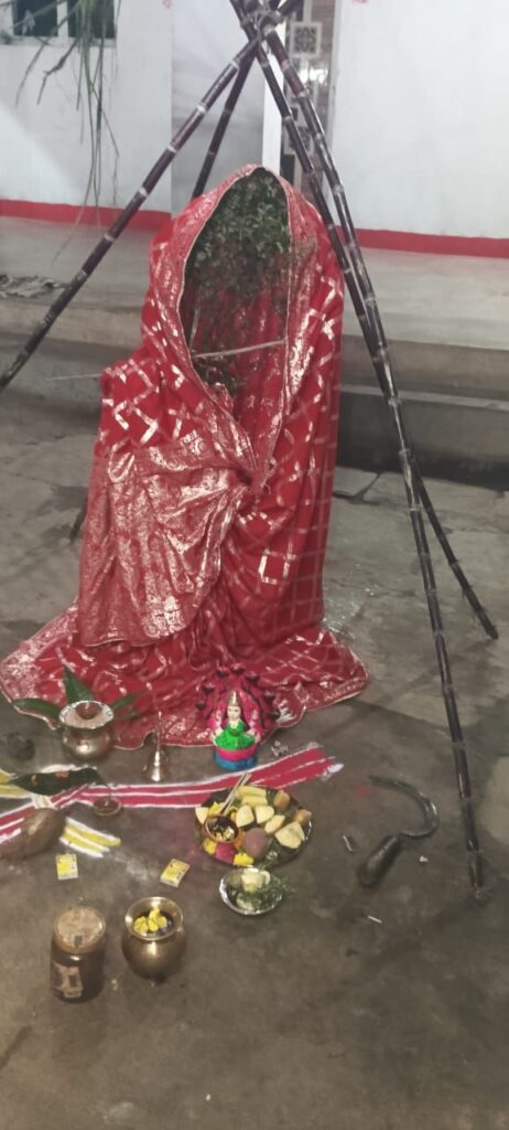 देव उठनी एकादशी, छत्तीसगढ़ स्थापना दिवस और बाबा खाटू श्याम जन्मोत्सव का संगम ,पुरे प्रदेश में उत्सव और उल्लास का माहौल Image Editor Output Image1641042985 17620120069754937445034083131313 462x1024