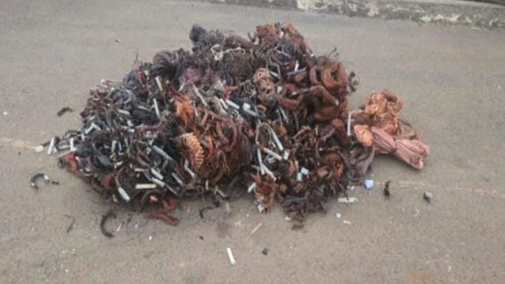 2547857 Kharora27600291245905930986 1024x576