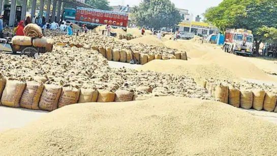 Fplcuum Dhan Kharidi 2025 625x300 15 November 258561887827665647224