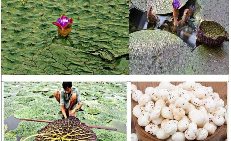 Hhh 768x706 1 768x4703369342527058373824 1