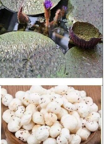 Image Editor Output Image 2045026875 17656213878606081901658678256672