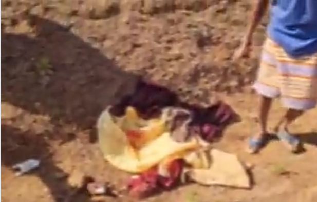 बलौदाबाजार: सिमगा ब्लाॅक के ग्राम पंचायत उड़ेला में चार माह का भ्रूण मिलने से मचा हड़कंप, हथबंद पुलिस ने मर्ग कायम कर शुरू की जांच Image Editor Output Image896767227 17654605056816276441365365872980