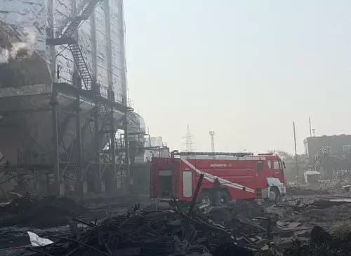 Image Editor Output Image 894795161 17690943690375502389463054962699