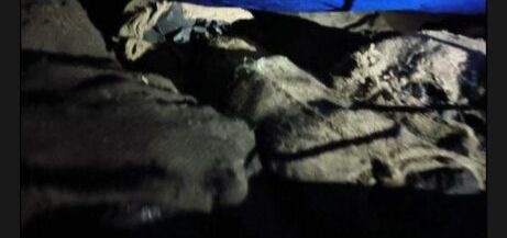 Image Editor Output Image1088308982 17686449731573796390284694987788