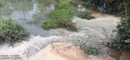 Image Editor Output Image1132727803 17679366719167853471761529818638