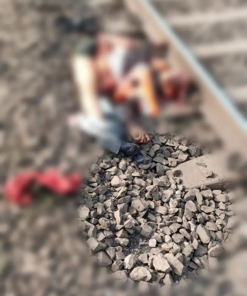 Img 20260204 1800388938062657136678783