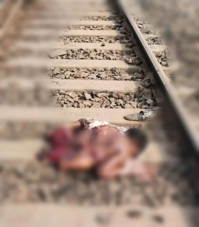 Img 20260204 180103 768x8763256573372596956012 1