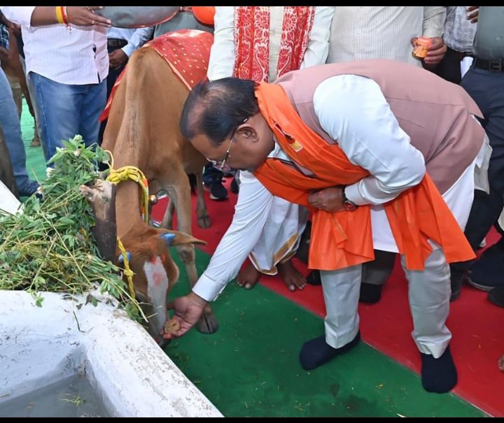 छत्तीसगढ़ के 9 जिलों में "सुरभी गौधाम" एवं अभ्यारण्य की शुरूवात ,बिलासपुर जिले के कोटा विकासखंड अंतर्गत ग्राम जोगीपुर में राज्य के पहले गौ अभ्यारण्य का शिलान्यास Image Editor Output Image 2042877504 17735186048914429397657575362711