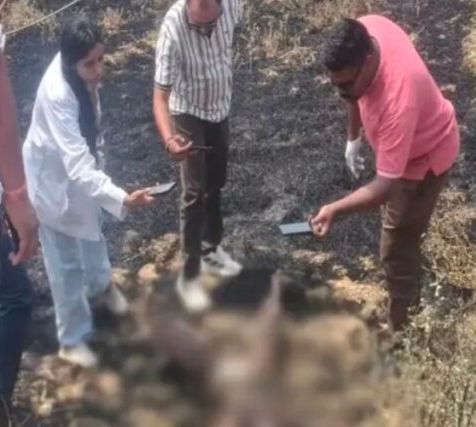 Image Editor Output Image 505051268 17739840797752397743499495300307